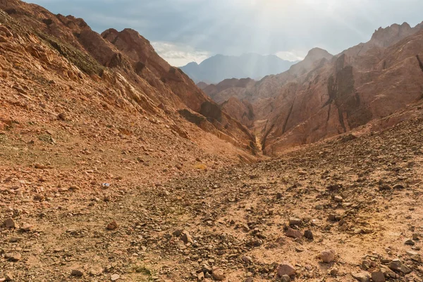 Sina Çölündeki Dağ Mısır