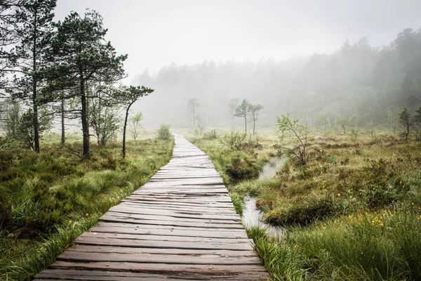 Moeras houten pad loopbrug naar Trolltunga Noorwegen — Stockfoto