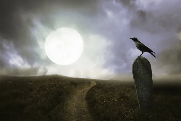 Halloween background with raven and grave — Stock Photo, Image