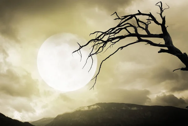 Fondo de Halloween. Montañas espeluznantes y árbol con luna llena — Foto de Stock