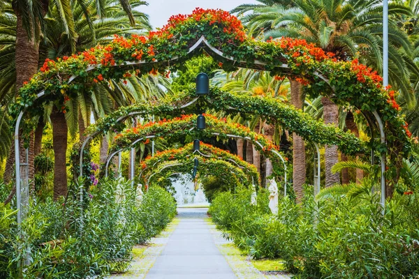 Green arch way in Garcia Sanabria park Santa Cruz de Tenerife, Tenerife, Canary Islands — Stock Photo, Image