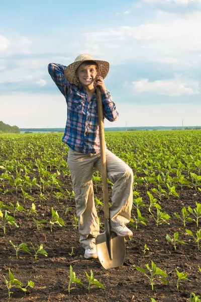 Happy small farmer with spade in spring field — Stock Photo, Image