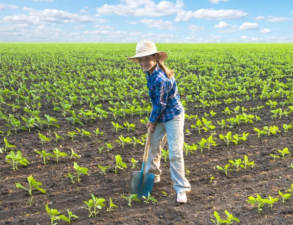 Счастливого маленького фермера с лопатой на весеннем поле — стоковое фото