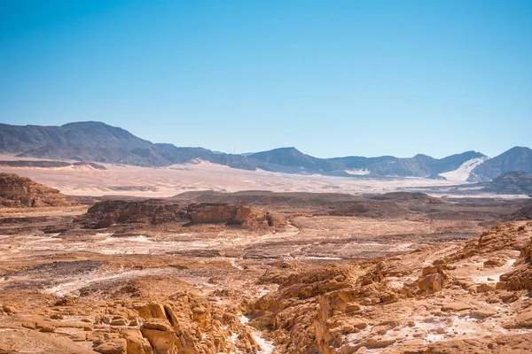 Sinai desert landscape — Stock Photo, Image