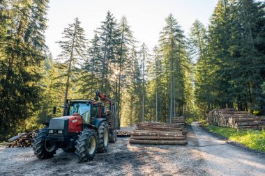 Forklift kamyon kapmak ahşap tahta işleme tesisi