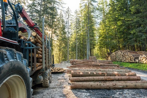 Forklift truck grabs wood in wood processing plant