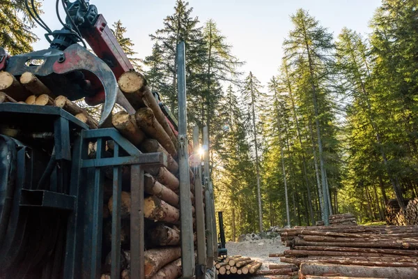 Carretilla elevadora agarra madera en planta de procesamiento de madera — Foto de Stock