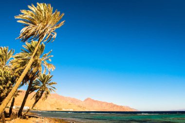 Kızıl Deniz kıyısında, Akabe Körfezi 'nde, Dahab.Mısır yakınlarında.