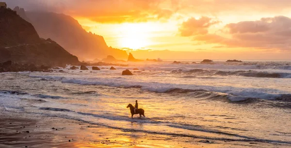 Человек Верхом Лошади Пляжу Заката Человек Лошадью Берегу Моря Вид — стоковое фото