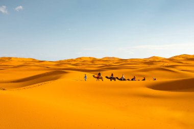 Merzouga, Morocco Sahara çölde deve karavan