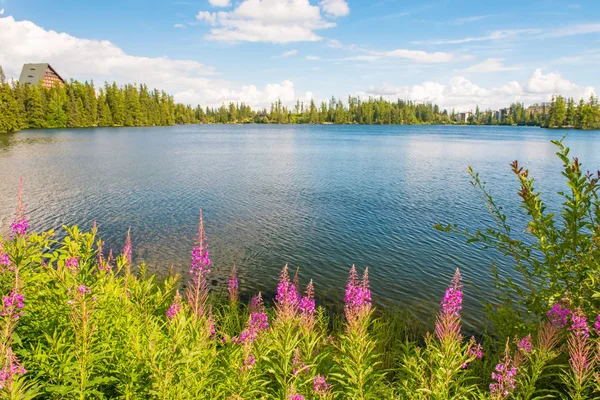 Jezioro Szczyrbskie Jezioro Tatry Wysokie, Słowacja — Zdjęcie stockowe