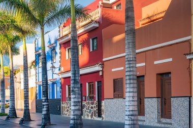 Renkli evleri, palmiye sokak Puerto de la Cruz kenti Tenerife Kanarya Adaları