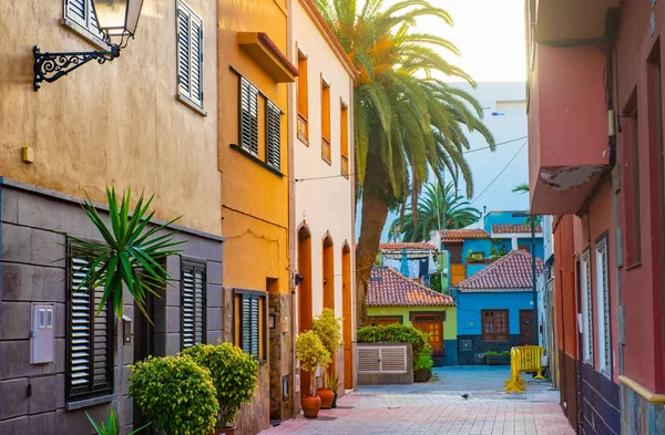Casas coloridas, palma na rua Puerto de la Cruz cidade Tenerife Canárias — Fotografia de Stock