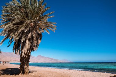 Kızıl Deniz kıyısında, Akabe Körfezi 'nde, Dahab.Mısır yakınlarında.