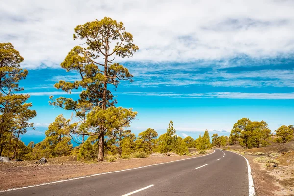 Camino de asfalto en desierto volcánico Tenerife, Canarias —  Fotos de Stock