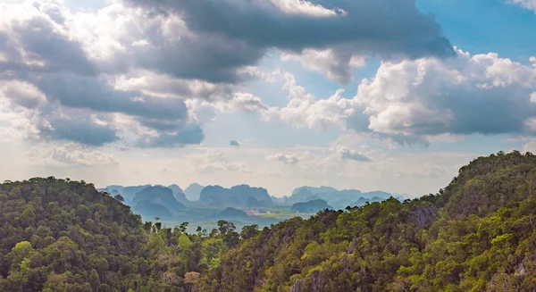 タイの熱帯雨林 — ストック写真
