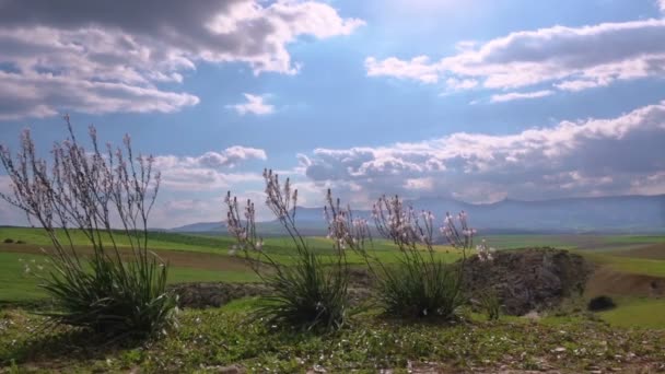 Krajobraz gór Atlas i pola Maroko — Wideo stockowe
