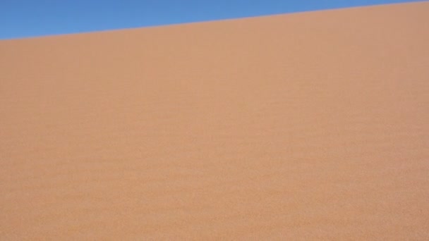 Barfüßiger Spaziergang über eine Sanddüne mittags — Stockvideo