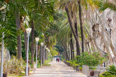 Paseo del Parque Malaga kasaba Costa del Sol tatil İspanya