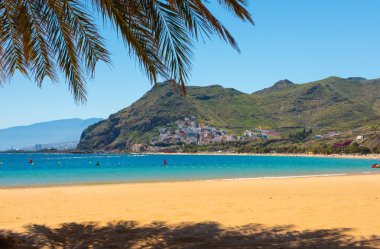Palmiye ağaçları Playa las Teresitas Plajı, Tenerife