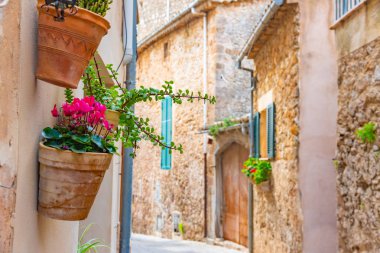 Güzel saksılar, İspanyol köyü Valldemossa, Mallorca renkli çiçekler