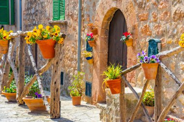 Güzel saksılar, İspanyol köyü Valldemossa, Mallorca renkli çiçekler
