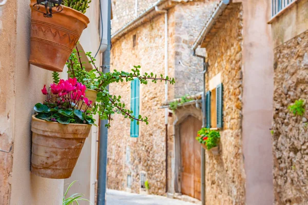 Bellissimi vasi di fiori, fiori colorati nel villaggio spagnolo Valldemossa, Maiorca — Foto Stock