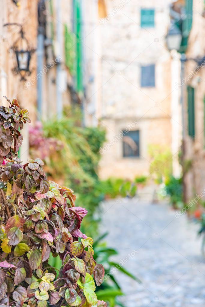 Valldemossa, famous old mediterranean village of Majorca island Mallorca, Spain