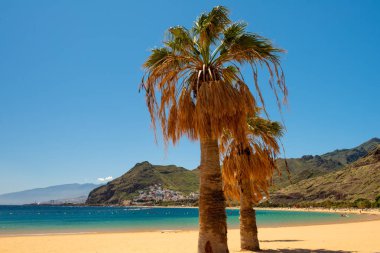 Plaj Las Teresitas Tenerife şaşırtıcı görünümü