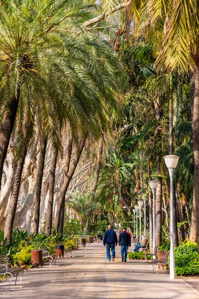 Paseo del Parque em Málaga cidade Costa del Sol resort Espanha — Fotografia de Stock