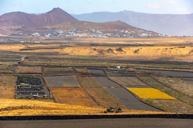 Kuru volkanik tarlalar Lanzarote Adası İspanya