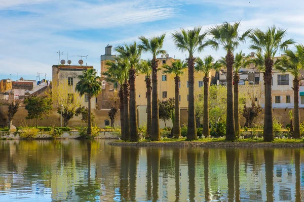 Parque Real de Fez con lago y palmeras, Marruecos — Foto de Stock
