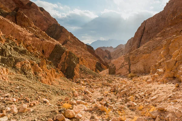 Montagna nel deserto del Sinai Egitto — Foto Stock