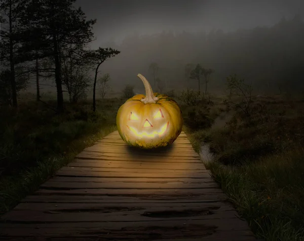 Zucca di Halloween nella foresta di notte — Foto Stock