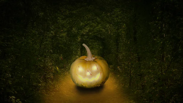Zucca di Halloween nella foresta di notte — Foto Stock