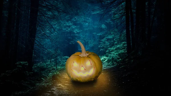 Zucca di Halloween nella foresta di notte — Foto Stock