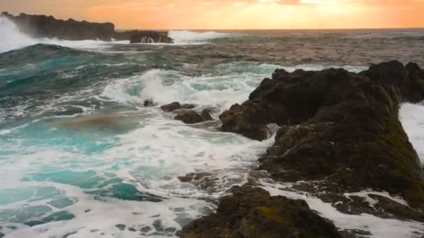 Ocean bølger nedbrud på klipper i solnedgang lys Playa Benijo strand, Tenerife, Kanariske – Stock-video