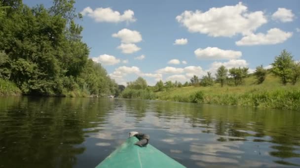 Kajak pływa na spokojnej rzece w letnim zielonym lesie — Wideo stockowe