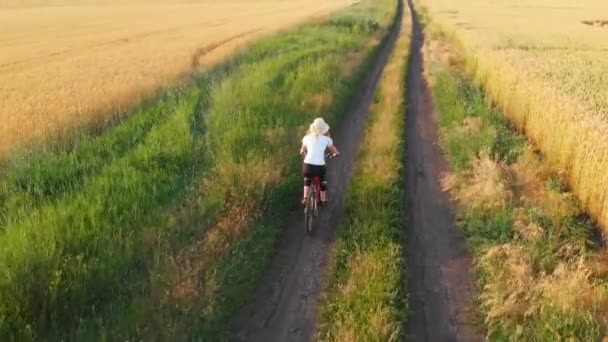 Vista aérea del avión no tripulado de la niña en bicicleta entre campos de trigo — Vídeo de stock