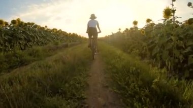 Ayçiçeği tarlaları arasında bisiklet süren sportif kız