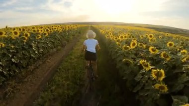 Ayçiçeği tarlaları arasında bisiklet süren sportif kız