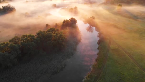 Dron powietrzny widok wschodu słońca nad mglistą rzeką — Wideo stockowe