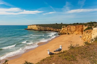 Doğal mağaralar ve plaj, Algarve Portekiz