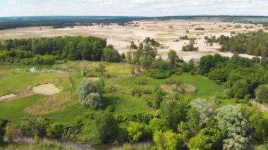 Ormanların tahrip edilmesi Ukrayna 'daki küresel ısınma ormanı iklimi değiştirdi.