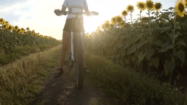 Sportowa dziewczyna jazda na rowerze między polami słonecznika — Wideo stockowe