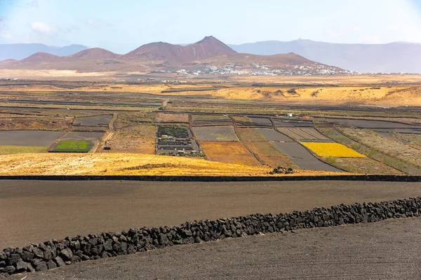 Champs volcaniques secs cultivés Lanzarote île Espagne — Photo