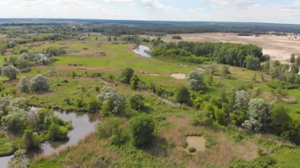 Ontbossingsramp klimaatverandering opwarming van de aarde Dennenbos in Oekraïne — Stockvideo