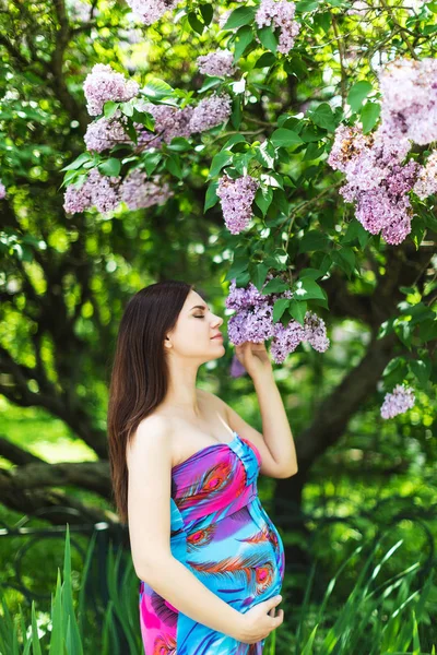 Вагітна дівчина в сукні в лавандовому саду — стокове фото