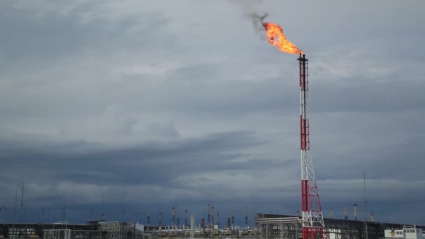 吸气炬环境污染 火炬在油田的系统 燃烧通过火炬头 — 图库视频影像