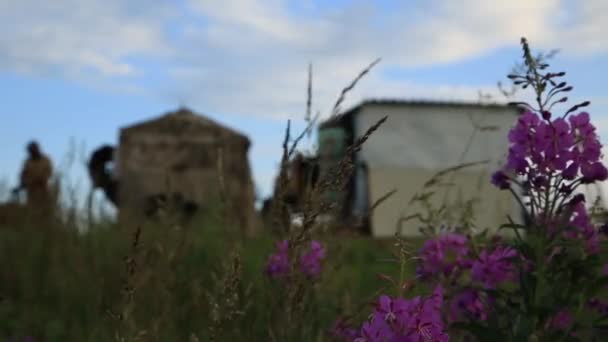 Typisches Holzhaus mit Sommerblumen Iris und grünem Gras auf dem Dach. Wochenendhaus mit Rasendach für den Sommer in der wilden Natur des norwegischen Waldes und des Fjords. Nordische Sommerlandschaft — Stockvideo